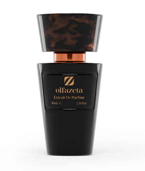 Nr 01 Inspired by Pacco Rabanne 1 Million